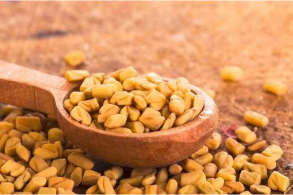 fenugreek seeds suppliers in india